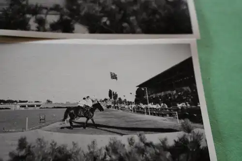 fünf tolle alte Fotos - Reitsport - Pferde, Veranstaltung - Ort ????