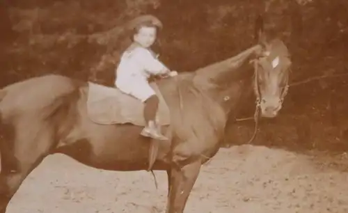 tolles altes Foto - kleiner Junge auf einem Pferd - 1900-1920 ???