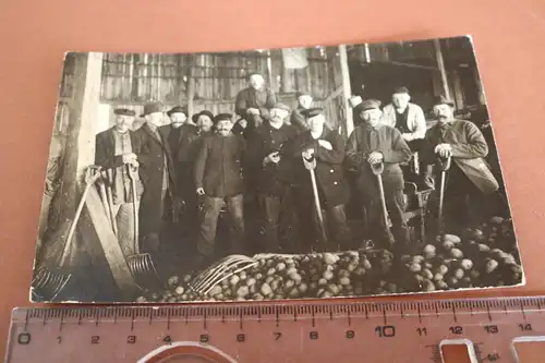 tolles altes Foto - Männer bei der Kartoffelernte - einlagern ? 1910-20 ?