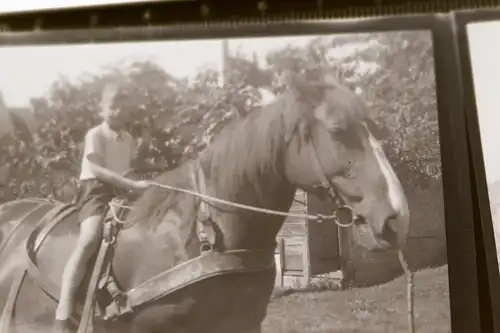 drei tolle alte Negative - Kinder auf einem Pferd, Pferd mit Heuwagen 30-50er J