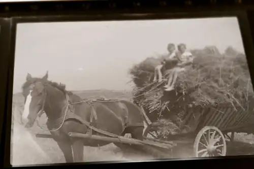 drei tolle alte Negative - Kinder auf einem Pferd, Pferd mit Heuwagen 30-50er J