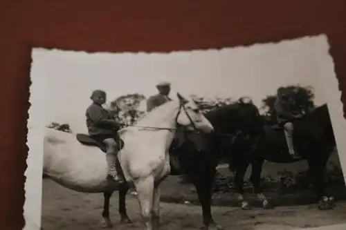 zwei tolle alte Fotos - Jungs und Männer auf Pferde - Reiten -  30-40er Jahre