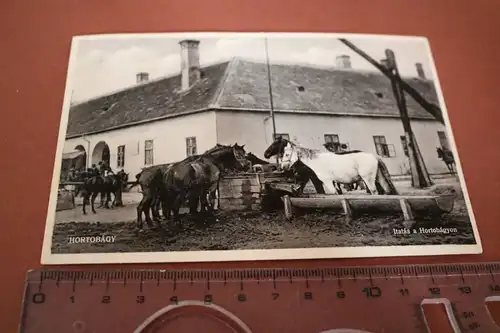 tolle alte Karte -  Hortobágy  - Pferdetränke - Pferde 1934