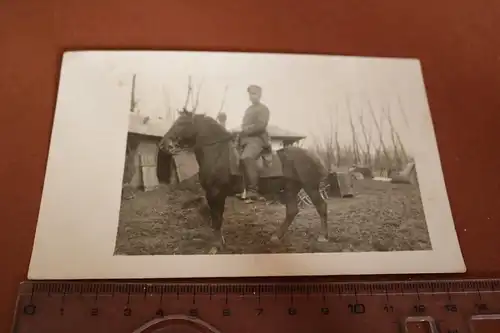 tolles altes Foto - Portrait Reiter - Soldat mit Pferd mit Brandzeichen - 1916