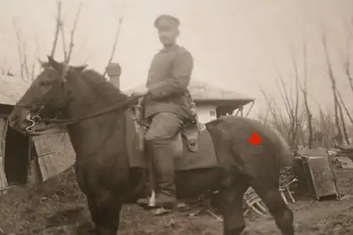 tolles altes Foto - Portrait Reiter - Soldat mit Pferd mit Brandzeichen - 1916