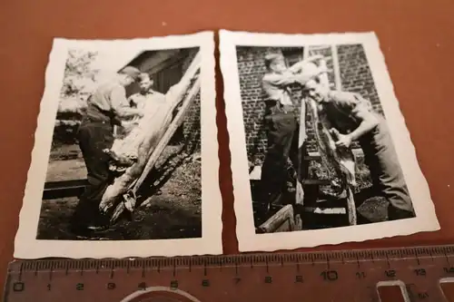 zwei tolle alte Fotos - Soldaten schlachten ein Schwein
