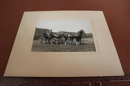 tolles altes Foto -  Pferde - Pferdekutsche - 1910-20 ??