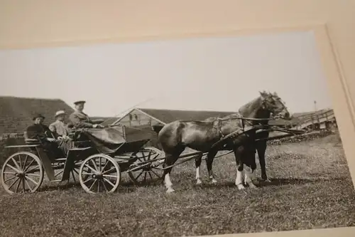 tolles altes Foto -  Pferde - Pferdekutsche - 1910-20 ??