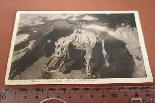 tolle alte Karte - Fränkische Schweiz - Teufelshöhle Dinosaurier 1920-30 ??