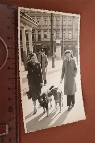 tolles altes Foto - Mann und Frau mit Hunden - Hunde tragen Maulkorb - 1940