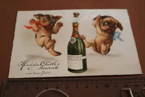 tolle alte Karte - Kitschkarte - zwei Hunde mit Sektflasche - 30-40er Jahre ?