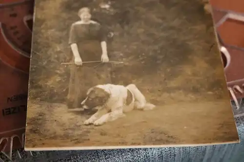 tolles altes Foto - Frau mit großem Hund - Hirtenhund ?  1918