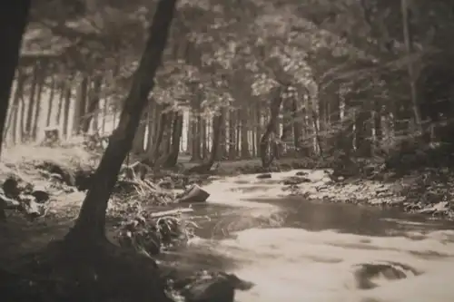 zwei tolle alte Fotos - Ilsetal und Eckertal - 1928