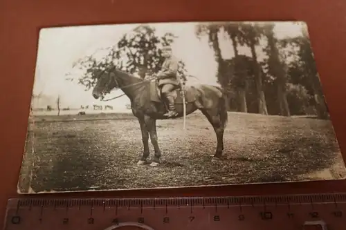 tolles altes Foto - Portrait Reiter - Soldat mit Pferd  Kavallerie  