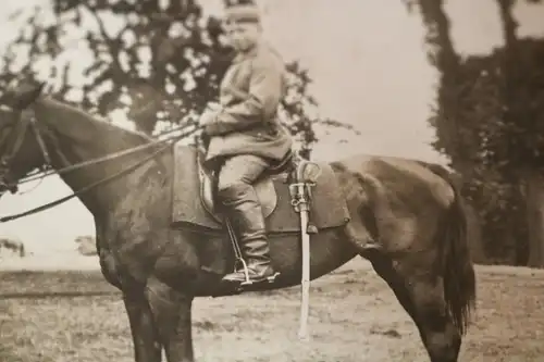 tolles altes Foto - Portrait Reiter - Soldat mit Pferd  Kavallerie