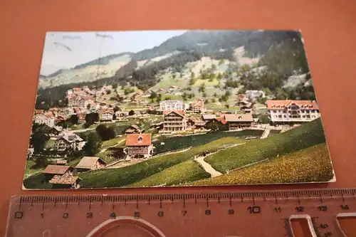 tolle alte Karte - Ansicht  Wengen - 1909