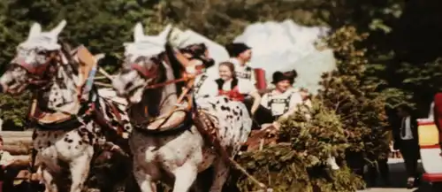 tolles altes Foto - Pferdegespann - Festwagen - Oberstdorf - 50-60er Jahre