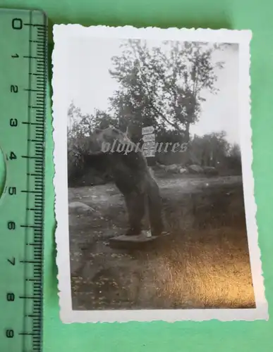 tolles altes Foto - Ostfrontbär - Staro Panowo ??? Russland 