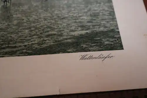 toller alter Druck - Nordseebad Büsum - Wattenläufer -1910-30 ???