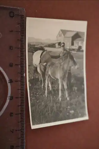 tolles altes Foto - Soldat posiert mit einem Fohlen