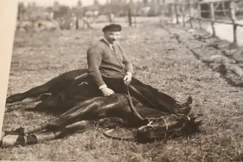 zwei alte Fotos - Mann mit seinem Pferd -  20-40er Jahre