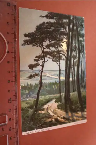 tolle alte Karte - S. Wencke Worpswede  Mondschein - 1907 