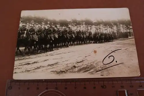 tolles altes Foto - Kavallerie-Einheit - Pferde Soldaten - Sennelager 