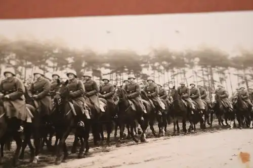 tolles altes Foto - Kavallerie-Einheit - Pferde Soldaten - Sennelager