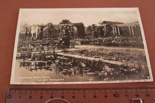 tolle alte Karte -  Botanischer Garten Essen - Aus dem Rosengarten  1932