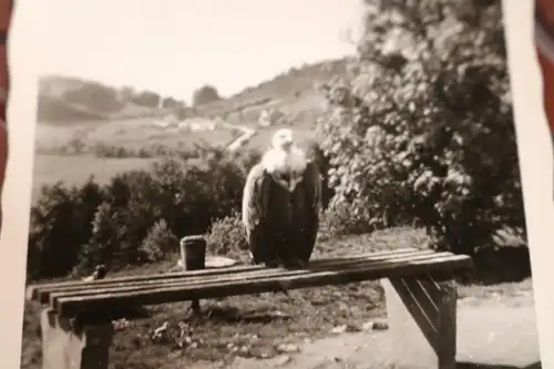 tolles altes Foto -  Geier sitzt auf einer Bank - 50-60er Jahre ?