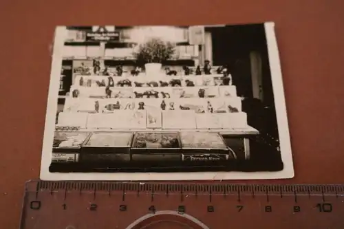 tolles altes Foto -  Tresen - Niederlage der Bäckerei Vollbehr - 20-30er Jahre 