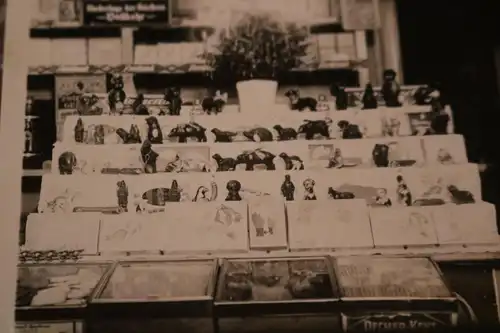 tolles altes Foto -  Tresen - Niederlage der Bäckerei Vollbehr - 20-30er Jahre