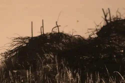 altes Foto - zerstörter Bunker ???? keine Ahnung