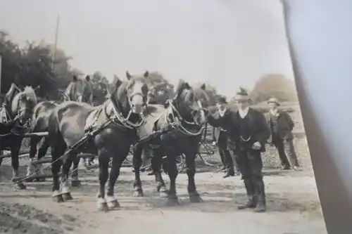 tolles altes Foto - Pferdegespann mit Festwagen ?? Gebäudemodell ? Mühldorf