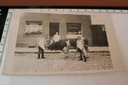 tolles altes Foto - Metzger Otto Schönborn - Jungs mit Kuhbulle Eilsleben 30er J