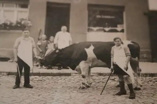 tolles altes Foto - Metzger Otto Schönborn - Jungs mit Kuhbulle Eilsleben 30er J