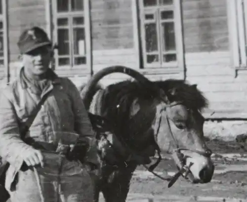 tolles altes Foto - Soldat der Luftwaffe mit Pferdegespann - Russland ?