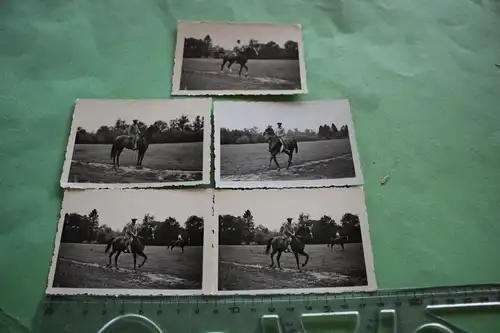 fünf tolle alte Foto - schöne Pferde mit Reiter und Reiterin 30-40er Jahre