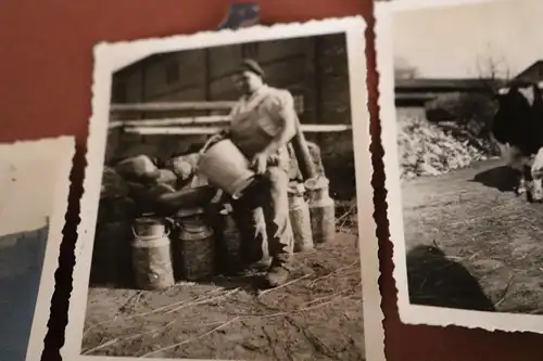 vier tolle alte Fotos - Landwirt und seine Kühe - Milchkannen