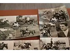 vier  tolle alte Karten - Olympische Reiterspiele Stockholm 1956 - Pferde