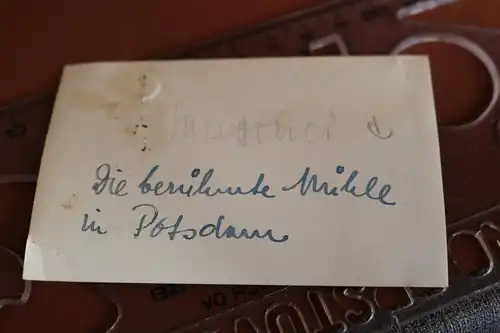 tolles altes Foto - Windmühle - Potsdam - 30-50er Jahre ???