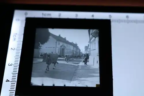 tolles altes Glasdia - 30-50er Jahre - Kuhtrieb duch Ort - Hotel Deutscher Hof 