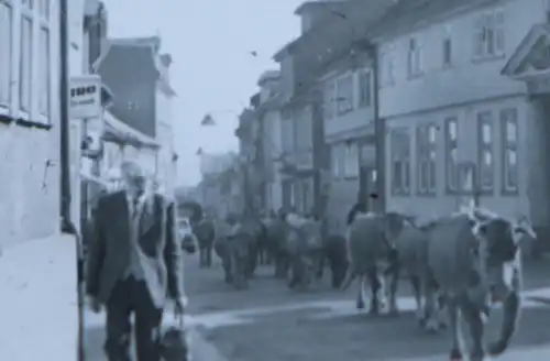 tolles altes Glasdia - 30-50er Jahre - Kuhtrieb duch Ort - Hotel Deutscher Hof