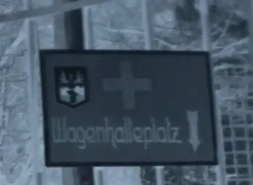 tolles altes Negativ - Lazarett ?? Schild Wagenhalteplatz mit Wappen Elch-Geweih