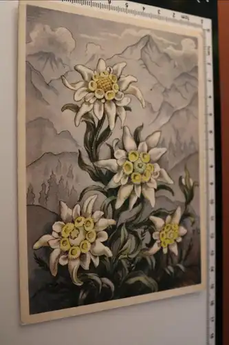 tolle alte Karte -  Künstlerkarte ??  Edelweiss -  1942