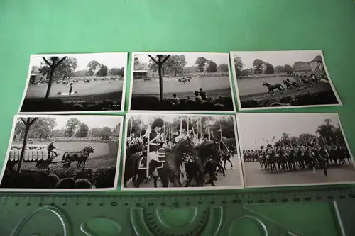 sechs tolle alte Fotos - Pferde - Veranstaltung - Reiter - Dressur - Militär