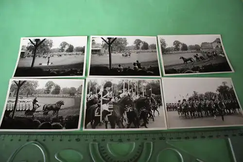 sechs tolle alte Fotos - Pferde - Veranstaltung - Reiter - Dressur - Militär 