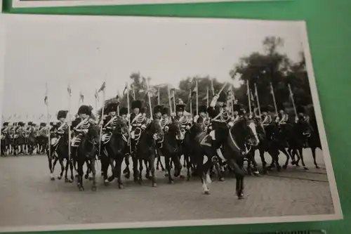 sechs tolle alte Fotos - Pferde - Veranstaltung - Reiter - Dressur - Militär