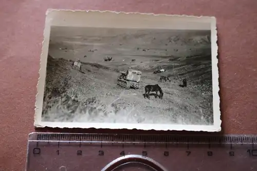 tolles altes Foto - Raupenschlepper ?? Wehrmacht ?? Pferde - Landschaft