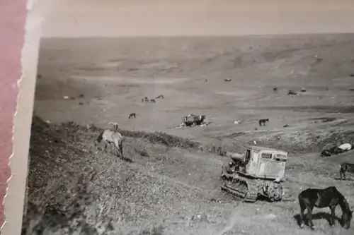 tolles altes Foto - Raupenschlepper ?? Wehrmacht ?? Pferde - Landschaft